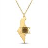 שרשרת ארץ ישראל עם מגן דוד וננו תנך בזהב